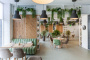 картинка Стул Верона от компании CORSASTYLE